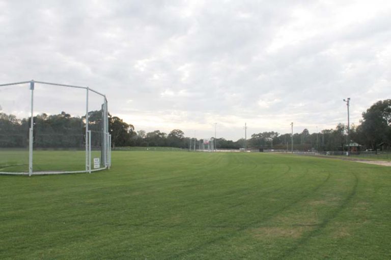 field 2 1 768x512