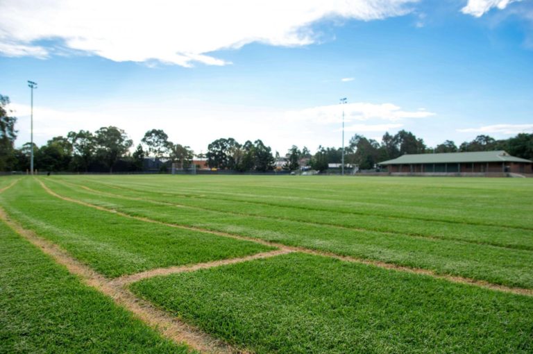 sportsground 768x510