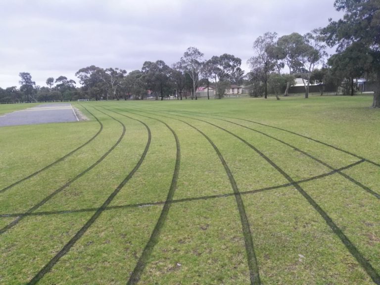 41453371 1903166616428941 9097450188510855168 o 768x576