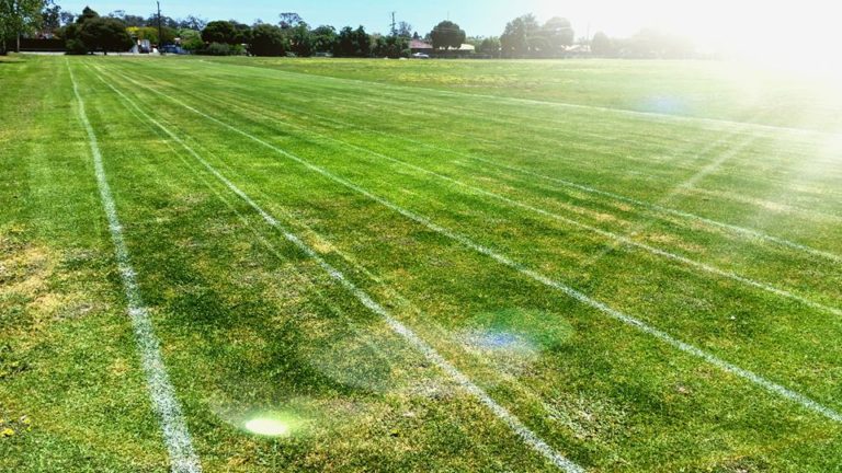 14947487 1227084647354942 5770465488164744290 n 768x432