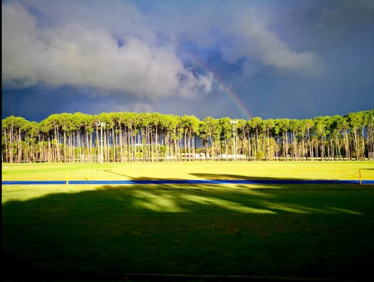 DB6F590B 9FCB 40EF A313 75CD2F66D1B8 768x580