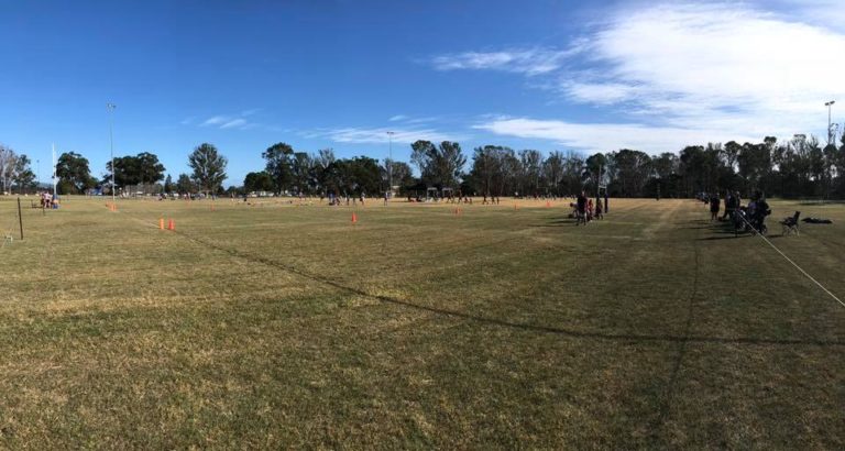 30705498 1968767289833589 6600807414700703744 n 768x410