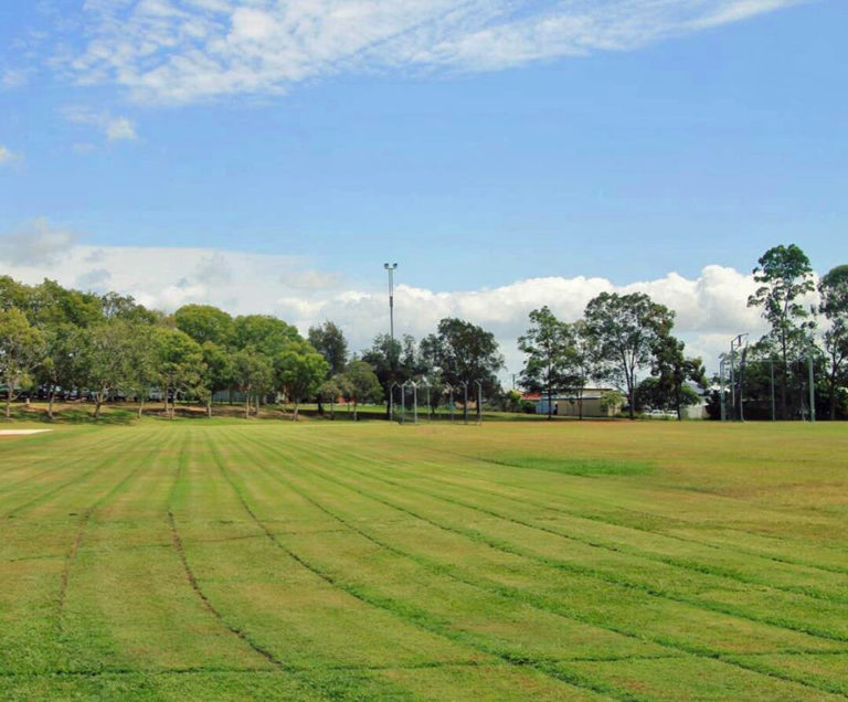 6397081 orig 768x636