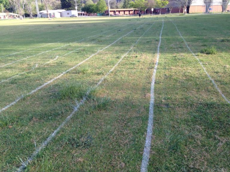 12122393 10204506178245209 6999016400292570072 n 768x576