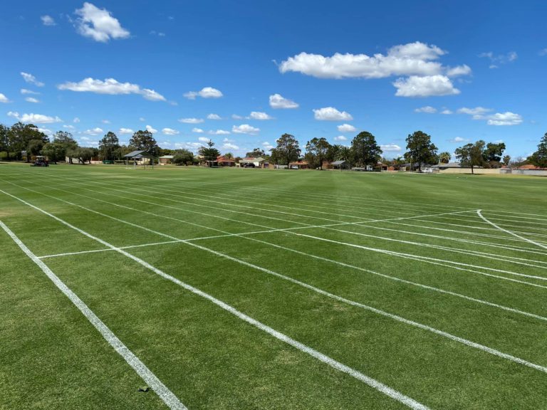 122596322 3523168311093608 5611474092876730041 n 768x576