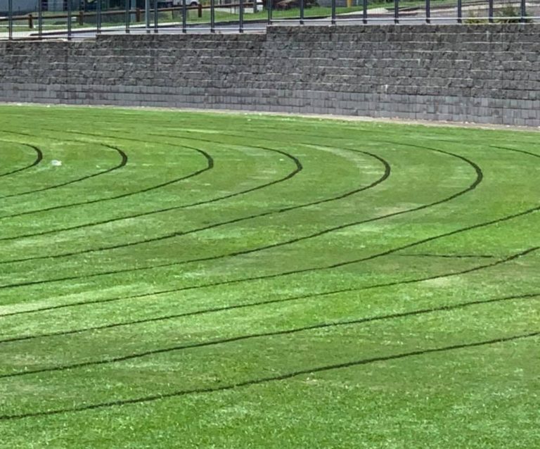 144458257 3381714525273713 4975948344233235685 n 768x638