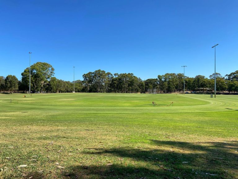 146786473 4301435016539807 1235621062502373077 n 768x576