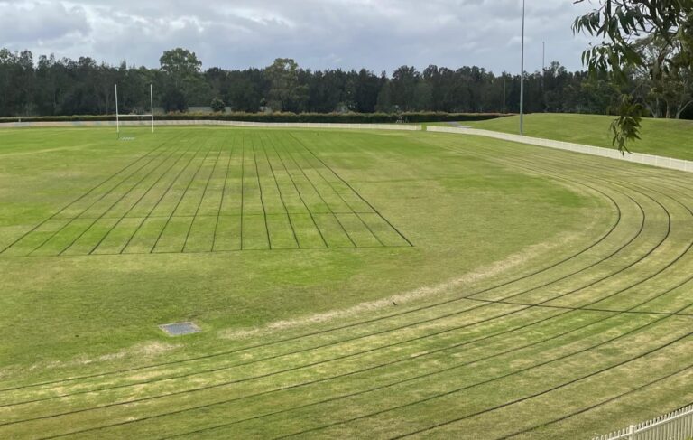 262331906 4557842374330201 1674066755057918641 n 768x487