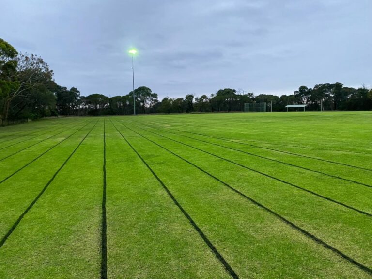 453009038 1246047126790462 9078564520560166324 n 768x575