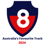 Blue and Red American Football Logo 8